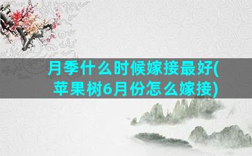 月季什么时候嫁接最好(苹果树6月份怎么嫁接)