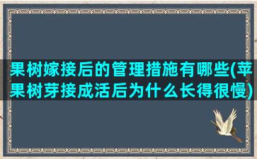 果树嫁接后的管理措施有哪些(苹果树芽接成活后为什么长得很慢)