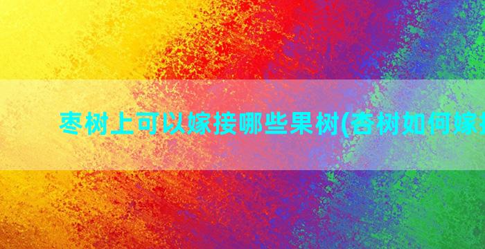 枣树上可以嫁接哪些果树(杏树如何嫁接李子)