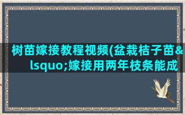 树苗嫁接教程视频(盆栽桔子苗‘嫁接用两年枝条能成活吗)