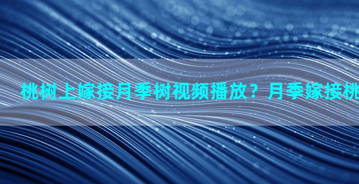 桃树上嫁接月季树视频播放？月季嫁接桃树上能活吗