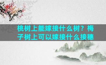 桃树上能嫁接什么树？梅子树上可以嫁接什么接穗