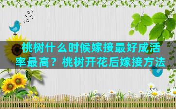 桃树什么时候嫁接最好成活率最高？桃树开花后嫁接方法