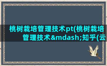 桃树栽培管理技术pt(桃树栽培管理技术—知乎(云谈农事))