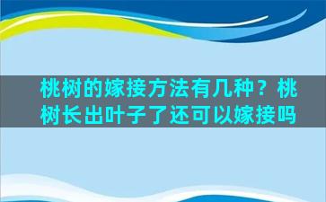 桃树的嫁接方法有几种？桃树长出叶子了还可以嫁接吗