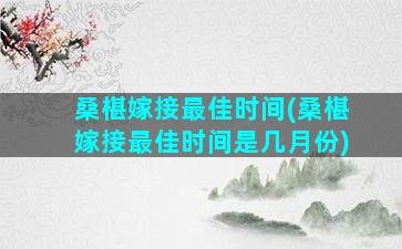 桑椹嫁接最佳时间(桑椹嫁接最佳时间是几月份)