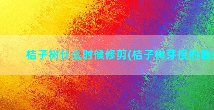 桔子树什么时候修剪(桔子树芽接的最佳时间)