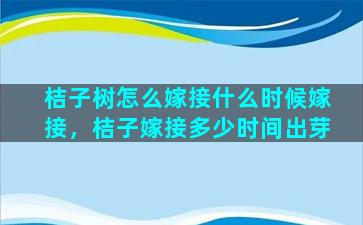 桔子树怎么嫁接什么时候嫁接，桔子嫁接多少时间出芽