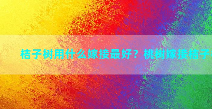 桔子树用什么嫁接最好？桃树嫁接桔子树能行不