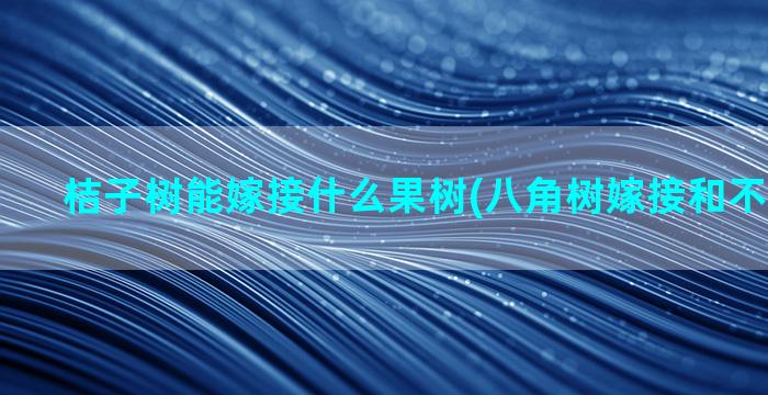 桔子树能嫁接什么果树(八角树嫁接和不嫁接对比)