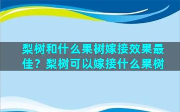 梨树和什么果树嫁接效果最佳？梨树可以嫁接什么果树