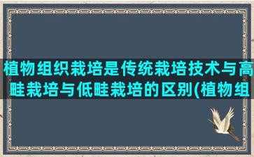 植物组织栽培是传统栽培技术与高畦栽培与低畦栽培的区别(植物组织切片)