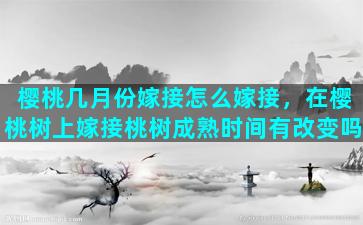 樱桃几月份嫁接怎么嫁接，在樱桃树上嫁接桃树成熟时间有改变吗