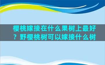 樱桃嫁接在什么果树上最好？野樱桃树可以嫁接什么树