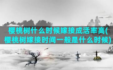 樱桃树什么时候嫁接成活率高(樱桃树嫁接时间一般是什么时候)