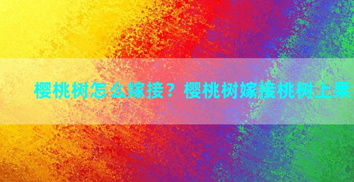 樱桃树怎么嫁接？樱桃树嫁接桃树上果实什么样