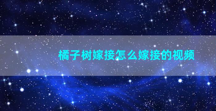 橘子树嫁接怎么嫁接的视频