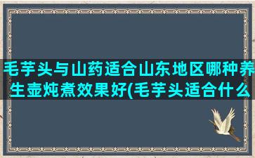 毛芋头与山药适合山东地区哪种养生壶炖煮效果好(毛芋头适合什么人群吃)