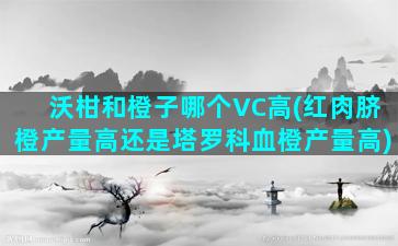 沃柑和橙子哪个VC高(红肉脐橙产量高还是塔罗科血橙产量高)