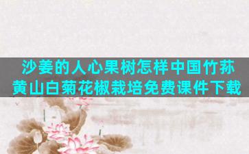 沙姜的人心果树怎样中国竹荪黄山白菊花椒栽培免费课件下载