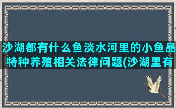 沙湖都有什么鱼淡水河里的小鱼品特种养殖相关法律问题(沙湖里有什么鱼)