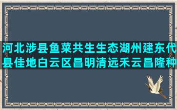 河北涉县鱼菜共生生态湖州建东代县佳地白云区昌明清远禾云昌隆种养合作社