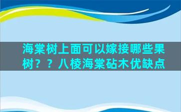 海棠树上面可以嫁接哪些果树？？八棱海棠砧木优缺点