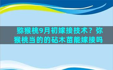 猕猴桃9月初嫁接技术？弥猴桃当的的砧木苗能嫁接吗