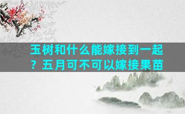 玉树和什么能嫁接到一起？五月可不可以嫁接果苗