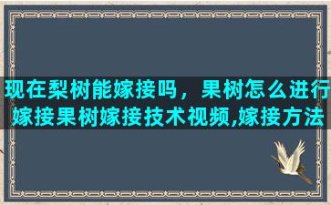 现在梨树能嫁接吗，果树怎么进行嫁接果树嫁接技术视频,嫁接方法图解