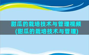 甜瓜的栽培技术与管理视频(甜瓜的栽培技术与管理)