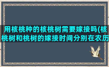 用核桃种的核桃树需要嫁接吗(核桃树和桃树的嫁接时间分别在农历的几月份)