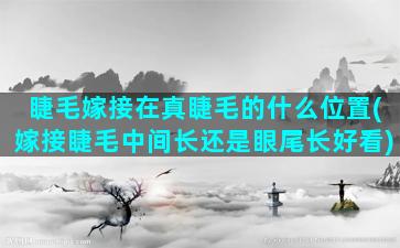 睫毛嫁接在真睫毛的什么位置(嫁接睫毛中间长还是眼尾长好看)