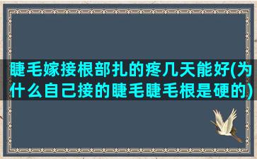 睫毛嫁接根部扎的疼几天能好(为什么自己接的睫毛睫毛根是硬的)