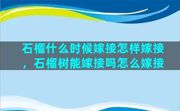 石榴什么时候嫁接怎样嫁接，石榴树能嫁接吗怎么嫁接