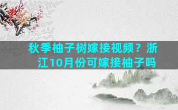 秋季柚子树嫁接视频？浙江10月份可嫁接柚子吗