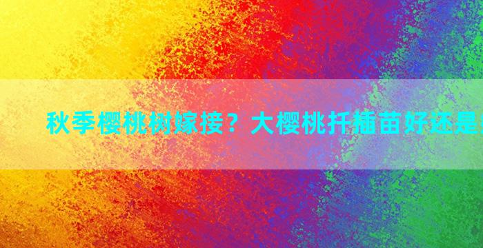 秋季樱桃树嫁接？大樱桃扦插苗好还是嫁接苗好