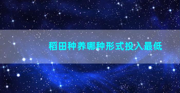 稻田种养哪种形式投入最低