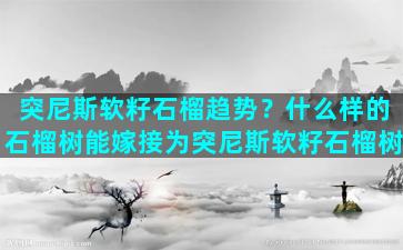 突尼斯软籽石榴趋势？什么样的石榴树能嫁接为突尼斯软籽石榴树