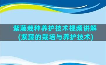 紫藤栽种养护技术视频讲解(紫藤的栽培与养护技术)