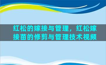 红松的嫁接与管理，红松嫁接苗的修剪与管理技术视频