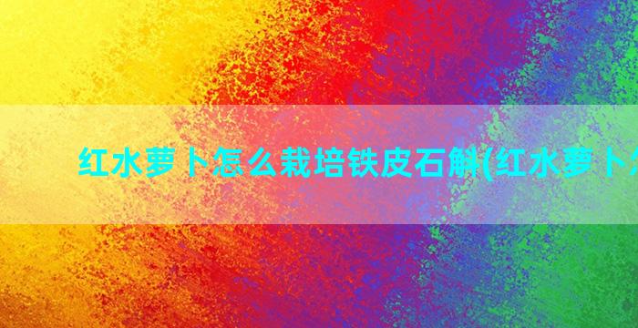 红水萝卜怎么栽培铁皮石斛(红水萝卜怎么吃)