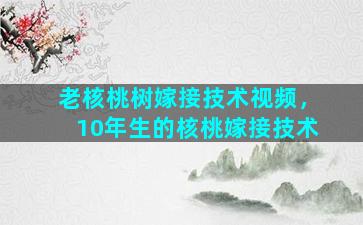 老核桃树嫁接技术视频，10年生的核桃嫁接技术