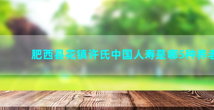 肥西县花镇许氏中国人寿是哪5种养老保险