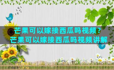 芒果可以嫁接西瓜吗视频？芒果可以嫁接西瓜吗视频讲解