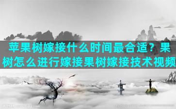 苹果树嫁接什么时间最合适？果树怎么进行嫁接果树嫁接技术视频