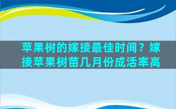 苹果树的嫁接最佳时间？嫁接苹果树苗几月份成活率高