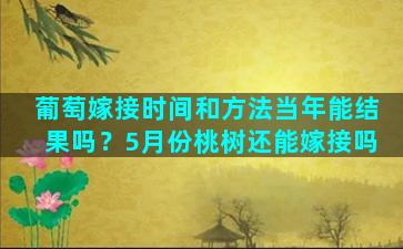 葡萄嫁接时间和方法当年能结果吗？5月份桃树还能嫁接吗