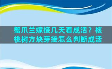 蟹爪兰嫁接几天看成活？核桃树方块芽接怎么判断成活