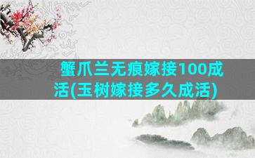 蟹爪兰无痕嫁接100成活(玉树嫁接多久成活)